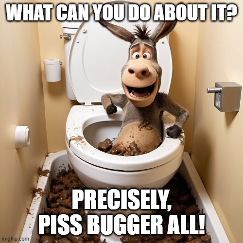 pissbuggerall